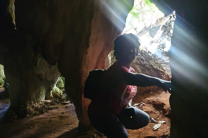 Tom Moore's Jungle and Eco Tour: Bermuda Forest Walk, Caves & Spittal Pond photo 5