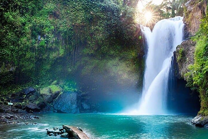 Half-Day Ubud Tour: Rice Terraces, Waterfalls & Monkey Forest photo 5