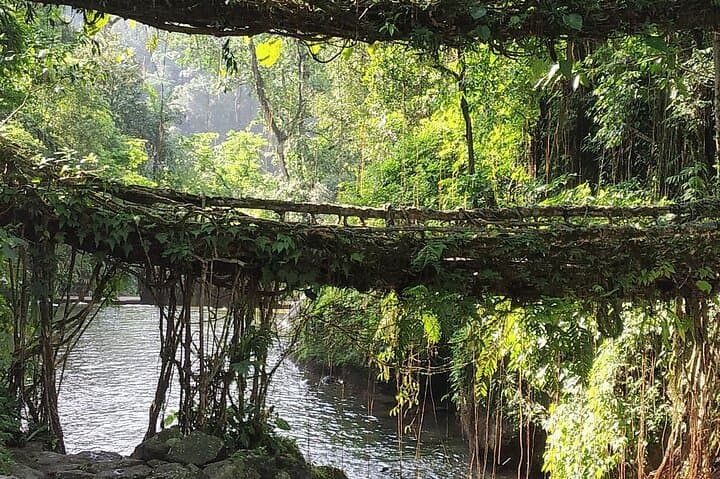 6-Day Assam & Meghalaya Adventure — Kaziranga, Shillong, Dawki & Mawlynnong photo 4