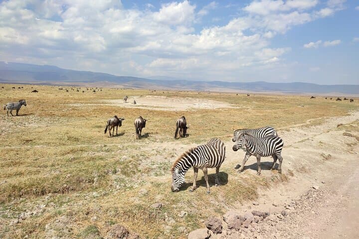 4-Day Serengeti, Ngorongoro & Tarangire Safari — Big Five Game Drives from Arusha