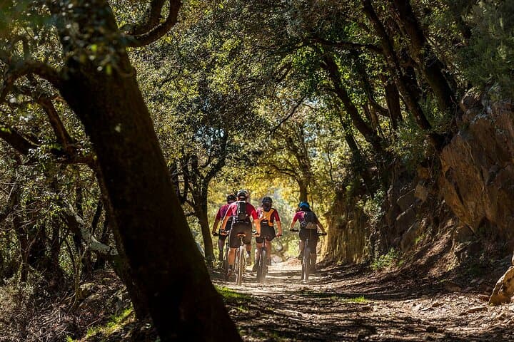 E‑Mountain Bike Tour of Empordà: Santa Maria de L'Estela Viewpoint
