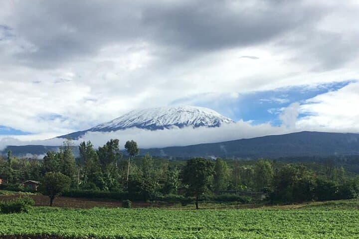 7-Day Kilimanjaro Trek: Machame Route to Uhuru Peak (Southern Circuit) photo 6