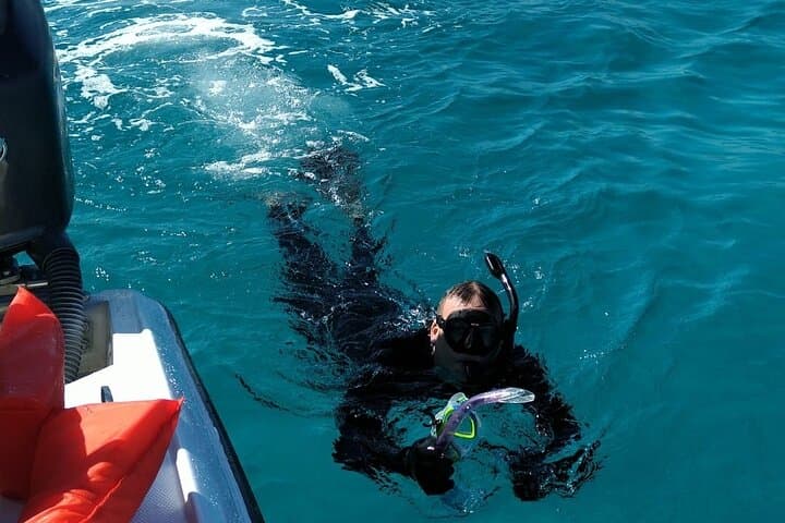 Nassau Private Island Snorkel: Turtles, Beach & BBQ from Paradise Island photo 6