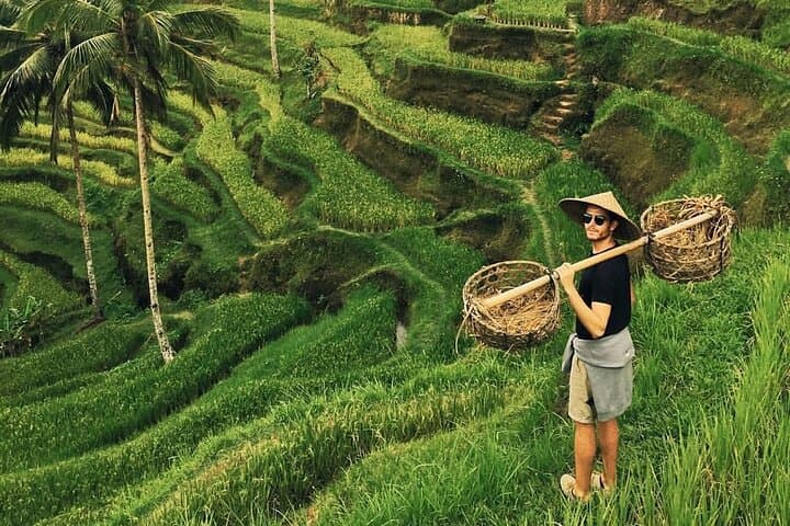 Explore Bali's Hidden Treasures: Jungle Swing, Monkey Forest, and Water Temples
