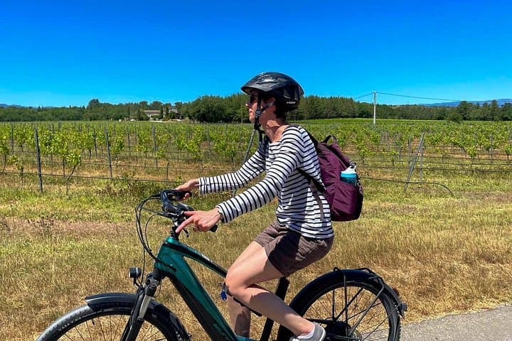 Pedal & Pour: Ardèche Electric-Bike Wine Tour to Château de la Selve photo 2