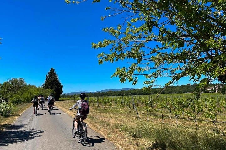 Pedal & Pour: Ardèche Electric-Bike Wine Tour to Château de la Selve photo 3