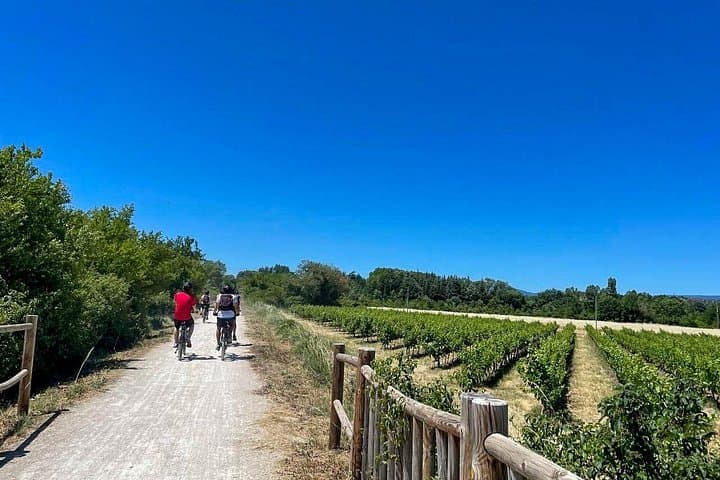 Pedal & Pour: Ardèche Electric-Bike Wine Tour to Château de la Selve photo 4