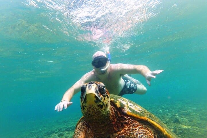 Snorkeling with Turtles on Gili Trawangan: Day Tour to Gili Meno & Coral Gardens photo 6