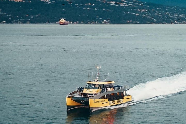 Salish Sea Whale Watching from Victoria: Half-Day Cruise & Free Photos photo 4