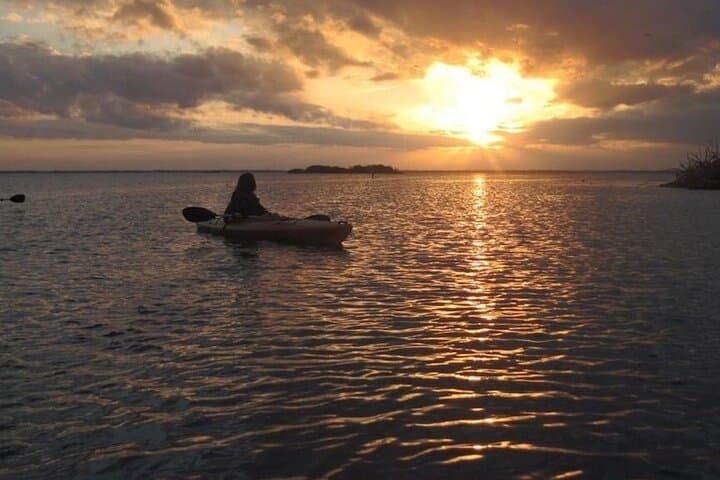 Manatees, Sunset & Bioluminescence: Cocoa Beach Kayak Combo Tour photo 3