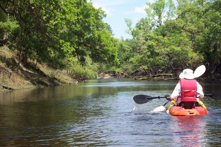 Manatees, Sunset & Bioluminescence: Cocoa Beach Kayak Combo Tour photo 5
