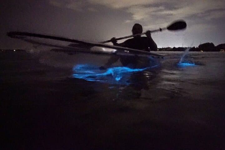 Clear-Bottom Kayak Bioluminescence Tour Cocoa Beach: Night Paddles in the Indian River Lagoon photo 1