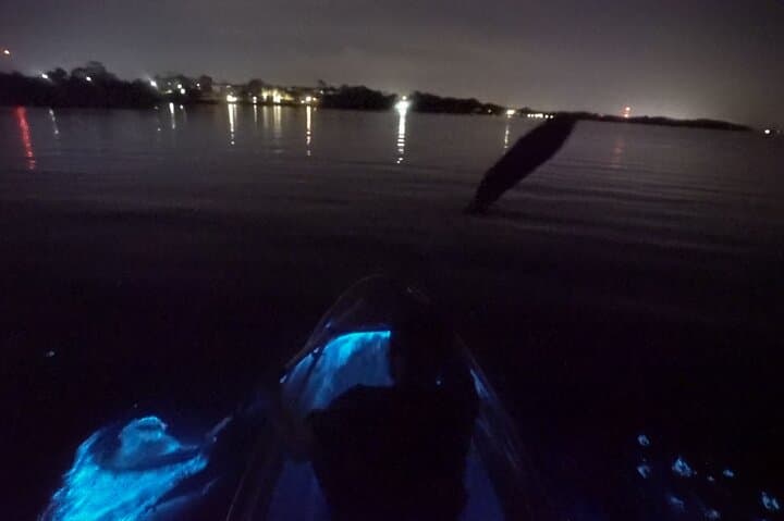 Clear-Bottom Kayak Bioluminescence Tour Cocoa Beach: Night Paddles in the Indian River Lagoon photo 2