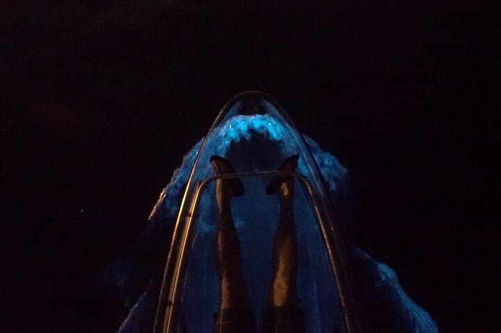 Clear-Bottom Kayak Bioluminescence Tour Cocoa Beach: Night Paddles in the Indian River Lagoon photo 3