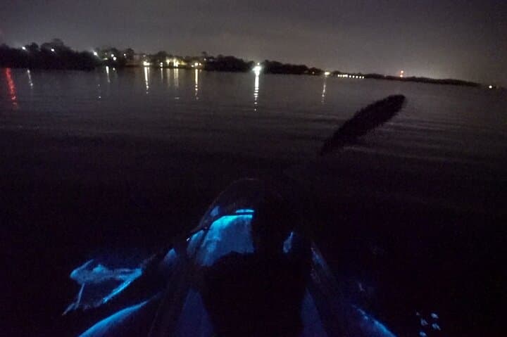 Clear-Bottom Kayak Bioluminescence Tour Cocoa Beach: Night Paddles in the Indian River Lagoon photo 4
