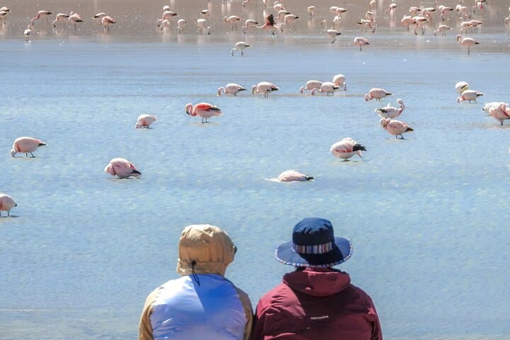 3-Day Uyuni Salt Flats & Colored Lagoons: Shared 4WD Adventure from Uyuni photo 6
