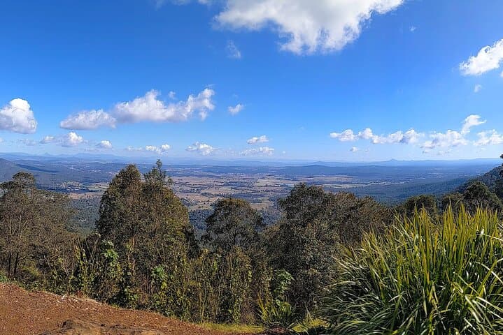 Tamborine Mountain and Paradise Point: Rainforest Walks, Waterfalls & Coastal Views from Brisbane photo 2