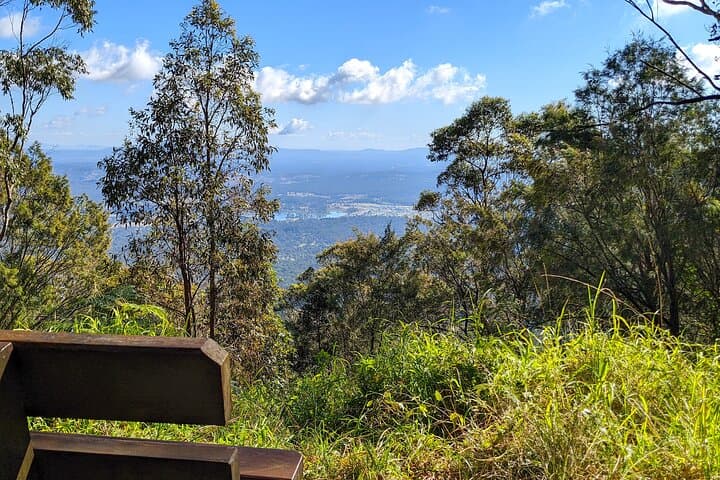 Tamborine Mountain and Paradise Point: Rainforest Walks, Waterfalls & Coastal Views from Brisbane photo 3