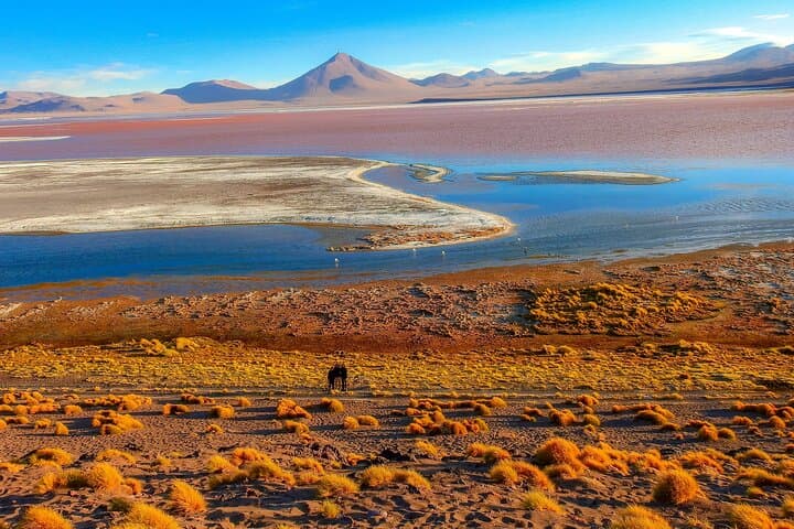Uyuni Salt Flats: 3-Day Shared 4WD Tour to Colored Lagoons & Geysers