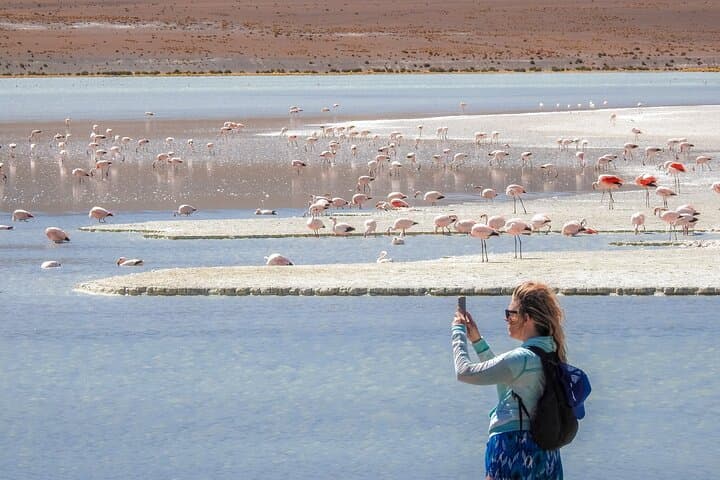 Uyuni Salt Flats: 3-Day Shared 4WD Tour to Colored Lagoons & Geysers photo 2