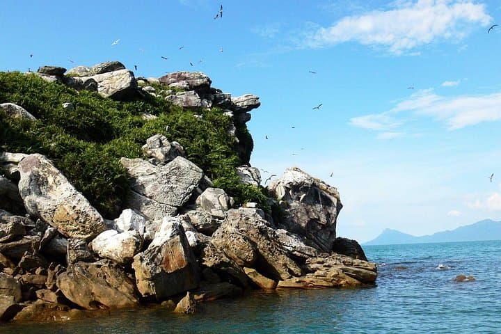 Satang Island Snorkeling & Sea Bird Watching from Kuching — Turtle Hatchery, Coral Gardens & Dolphin Chance photo 3