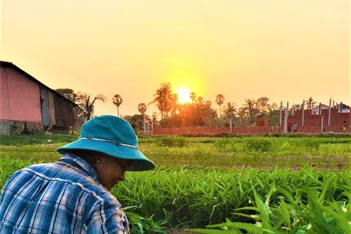 Siem Reap Countryside Sunset Jeep Tour — Half-Day Offbeat Evening Ride photo 4