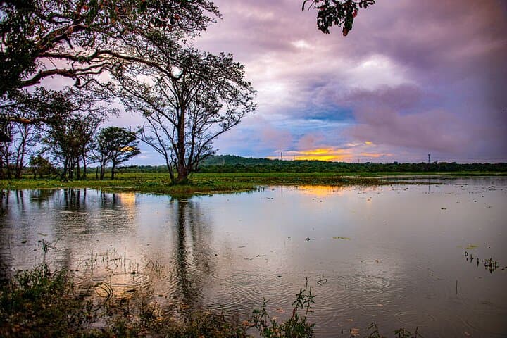 Two-Day Private Sigiriya, Minneriya & Habarana Village Experience from Colombo