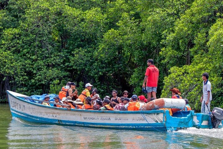 Galle Fort & Madu River Mangrove Safari — Private Day Trip from Galle photo 4