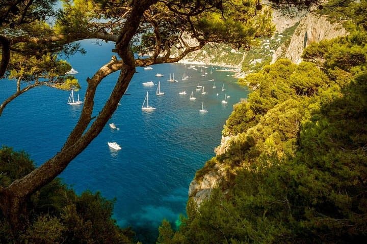 Capri & Anacapri Private Day Tour from Sorrento — Mount Solaro, Piazzetta & Coastal Views photo 1