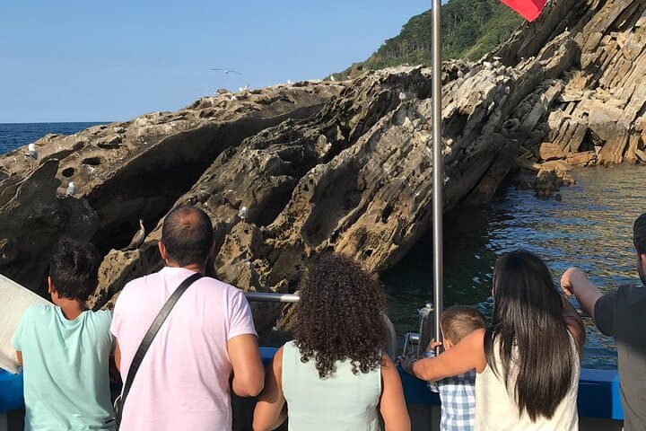 Sail La Concha: Boat Trip to Santa Clara Island, San Sebastián photo 4