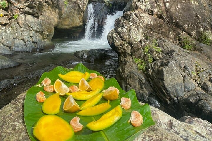 Half-Day El Yunque Tinajas & Natural Waterslides Adventure from Fajardo photo 6