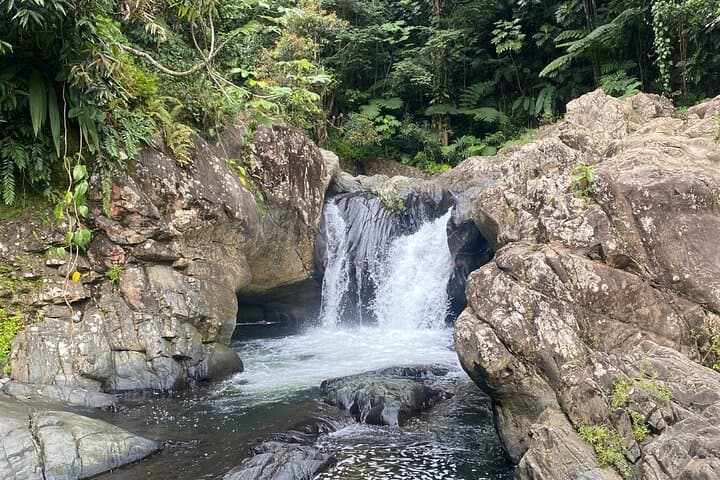 Half-Day El Yunque Tinajas & Natural Waterslides Adventure from Fajardo photo 4