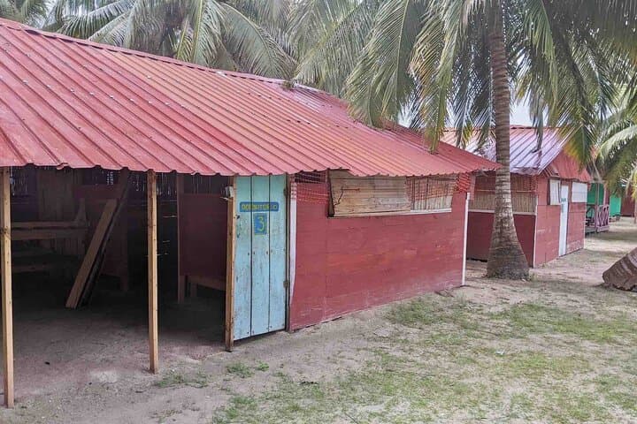 Isla Diablo San Blas: 2-Day Shared-Cabin Stay with Meals & Natural Pool Tour photo 3