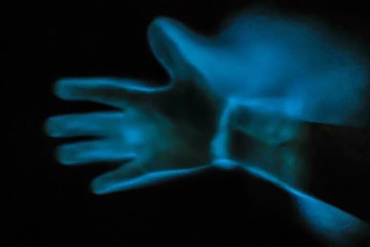 Night Kayak Through Florida's Bioluminescent Lagoon photo 6