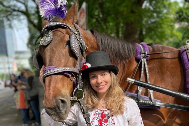 VIP Central Park Horse & Carriage Ride — Private 50-Minute Tour photo 3