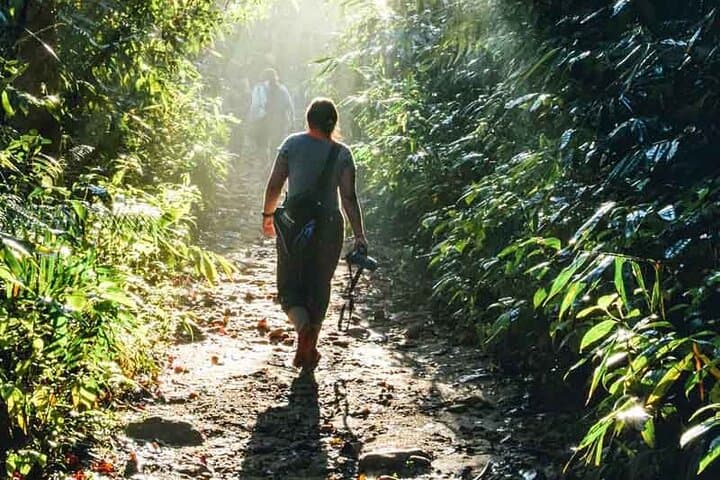 Sinharaja Rain Forest Day Trip from Colombo — Private Guided Hike & Wildlife Viewing photo 5
