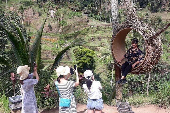 Full-Day Bali Tour: Mt. Batur Sunrise Views & Ubud Monkey Forest photo 4
