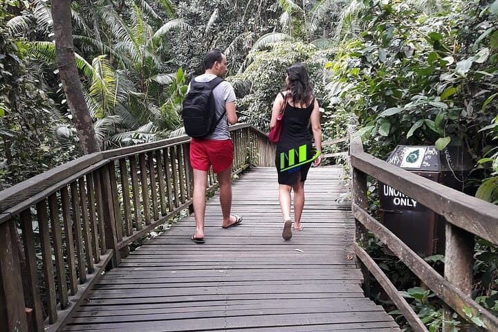 Full-Day Bali Tour: Mt. Batur Sunrise Views & Ubud Monkey Forest photo 5