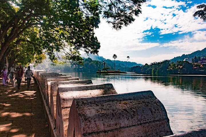 Kandy Day Trip from Colombo: Temple of the Tooth & Peradeniya Gardens with Return Transfer photo 3