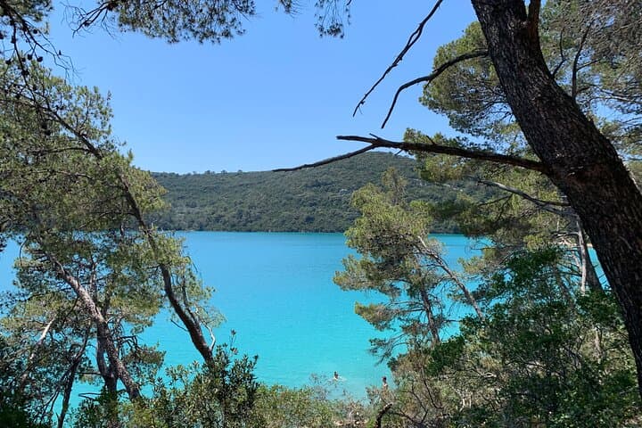 Private Speedboat to Mljet National Park: Day Trip from Dubrovnik photo 5