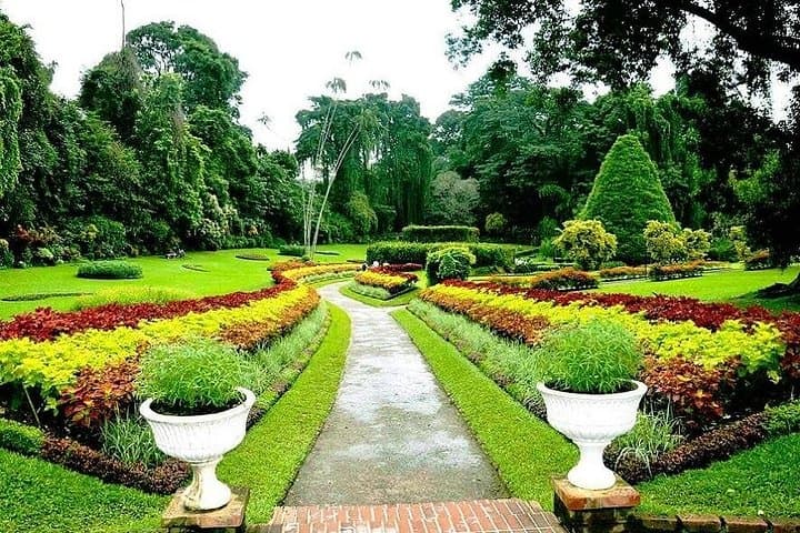 Kandy Day Trip from Colombo: Temple of the Tooth & Peradeniya Gardens with Return Transfer photo 1