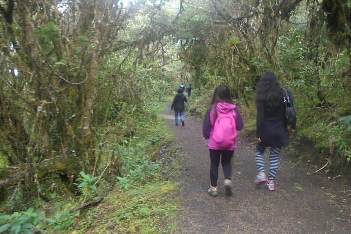 Ampay National Sanctuary: Full-Day Lagoon Hike and Birdwatching near Abancay photo 4