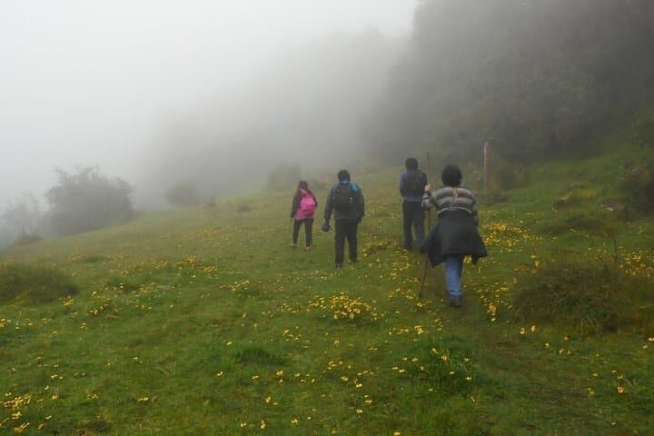 Ampay National Sanctuary: Full-Day Lagoon Hike and Birdwatching near Abancay photo 6