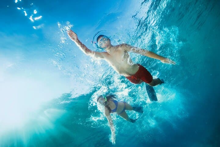 Oahu Snorkeling Cruise Off Waikiki — Turtles, Reefs & Top-Deck Jumps photo 6