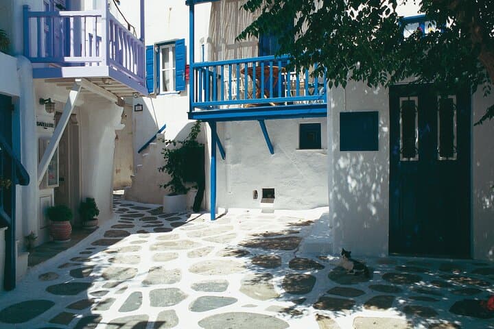 Mykonos Private Island Tour: Windmills, Beaches & Ano Mera in Half Day photo 3