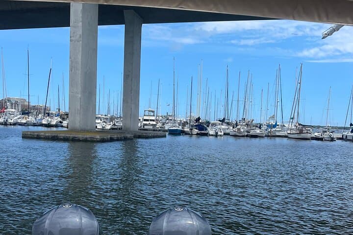 Charleston Harbor Cruise: White Point Battery to Fort Sumter with Captain Gene photo 3
