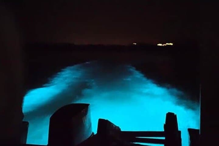 Private Night Tour to Falmouth's Luminous Blue Lagoon: Swim the Bioluminescent Waters photo 3
