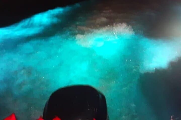 Private Night Tour to Falmouth's Luminous Blue Lagoon: Swim the Bioluminescent Waters photo 4