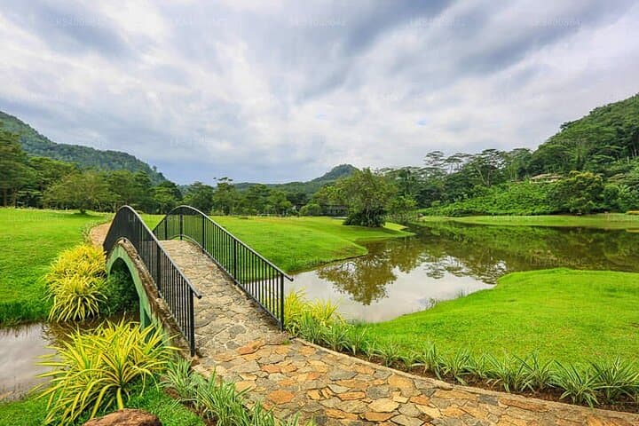 Seethawaka Botanical Garden Day Tour from Colombo — Guided Visit with Lunch