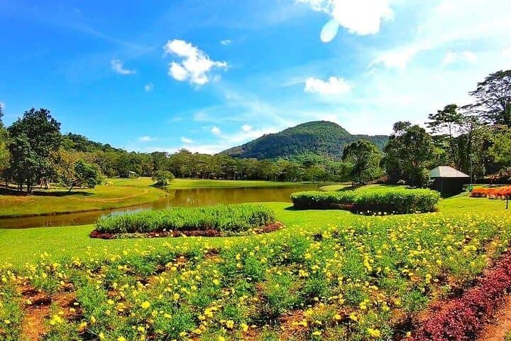 Seethawaka Botanical Garden Day Tour from Colombo — Guided Visit with Lunch photo 5